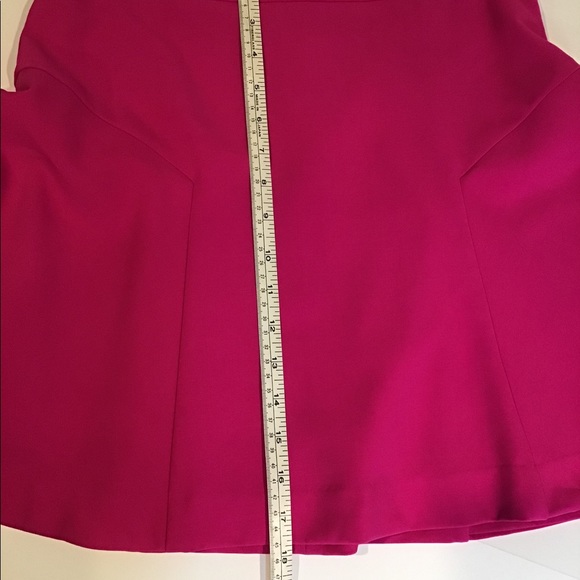 Express Pink lined Skirt - Picture 7 of 7